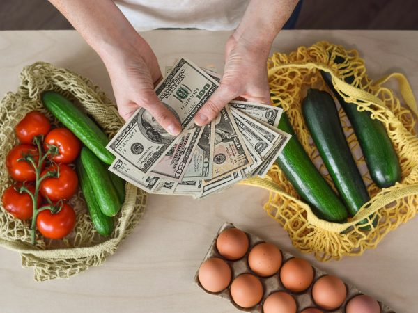 Female hands holding US American cash money with reusable grocery bags with fresh produce on counter