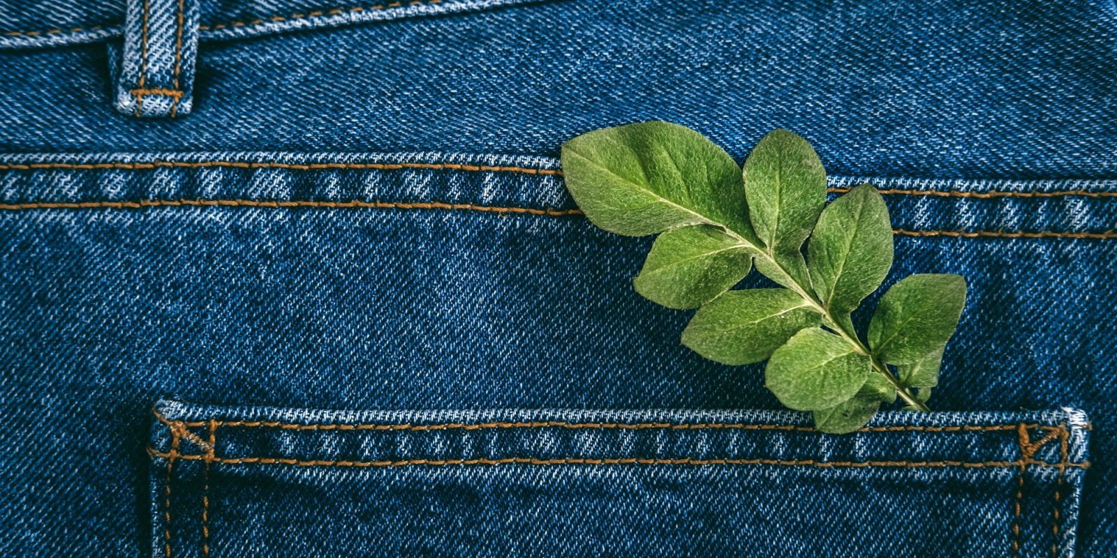 Sustainable fashion, Circular economy, denim eco friendly clothing. Green leaf plant on blue denim