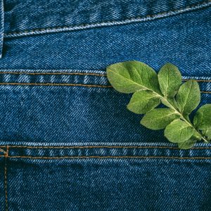 Sustainable fashion, Circular economy, denim eco friendly clothing. Green leaf plant on blue denim