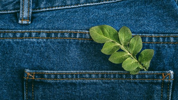 Sustainable fashion, Circular economy, denim eco friendly clothing. Green leaf plant on blue denim