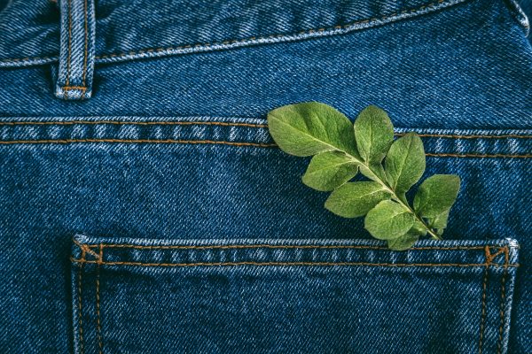 Sustainable fashion, Circular economy, denim eco friendly clothing. Green leaf plant on blue denim