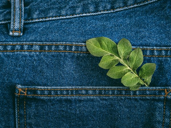 Sustainable fashion, Circular economy, denim eco friendly clothing. Green leaf plant on blue denim