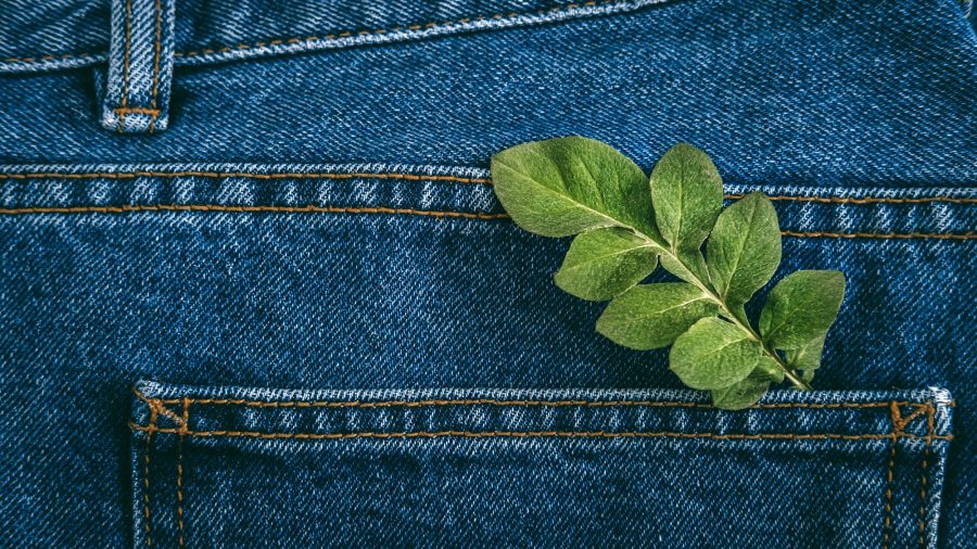 Sustainable fashion, Circular economy, denim eco friendly clothing. Green leaf plant on blue denim